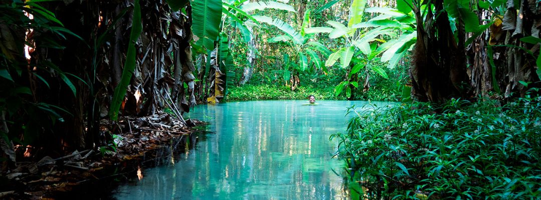brasil-jalapao-fervedouro-tocantis-agua-nadar