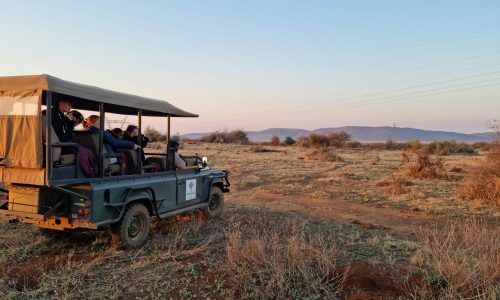 claire-roadley-qQyuyDhZpzw-unsplash