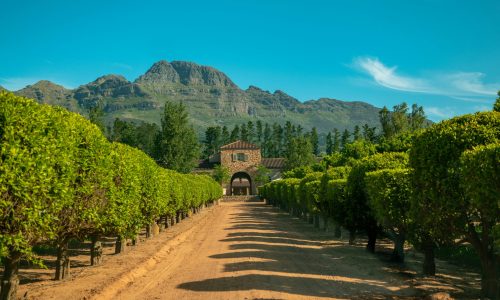 matthias-wesselmann-HBiwI3hoOuo-unsplash